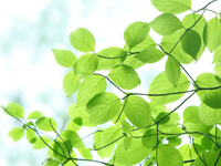 痛みの少ない治療をご提案いたします