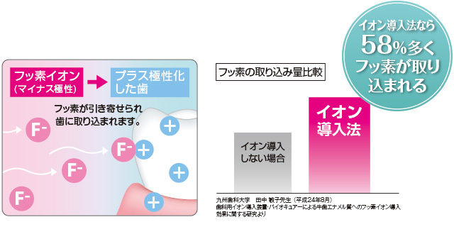 フッ素イオン導入法